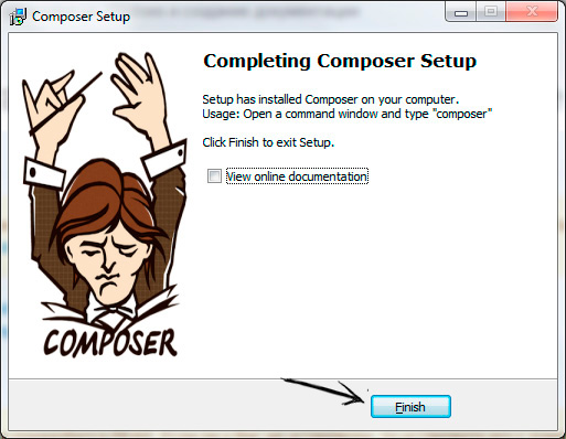 Установка composer. Шаг 5.